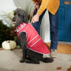 Frisco Mediumweight Reflective Water-Resistant Insulated Dog & Cat Coat -Pet Cat Supplies Store 268342 PT8. AC SS1800 V1629764397