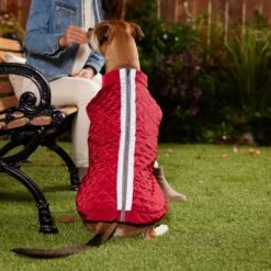 Frisco Mediumweight Reflective 2-in-1 Dog & Cat Fleece Coat -Pet Cat Supplies Store 268359 PT8. AC SS1800 V1629759326