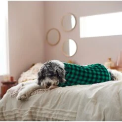 Frisco Dog & Cat Cozy Plush Fleece PJs, Green Plaid -Pet Cat Supplies Store 268517 PT8. AC SS1800 V1629755447