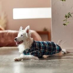 Frisco Multi-Plaid Dog & Cat Flannel Shirt 17 Frisco Multi-Plaid Dog & Cat Flannel Shirt -Pet Cat Supplies Store 268588 PT8. AC SS1800 V1629755804