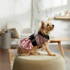 Frisco Pink Cheetah Dog & Cat Dress -Pet Cat Supplies Store 268661 PT6. AC SS1800 V1637672527