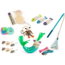 SmartyKat Welcome Home Necessity Pack Cat Toys With Catnip