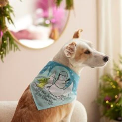 STAR WARS THE MANDALORIAN GROGU "Tis The Season" Dog & Cat Bandana -Pet Cat Supplies Store 270539 PT8. AC SS1800 V1631664152