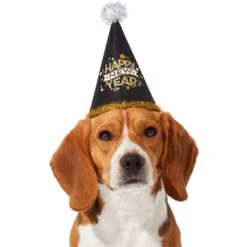 Frisco Happy New Year Dog & Cat Hat -Pet Cat Supplies Store 276190 PT2. AC SS1800 V1631303599