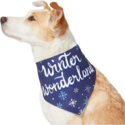 Frisco Winter Wonderland Dog & Cat Bandana -Pet Cat Supplies Store 276279 PT3. AC SS1800 V1637688134
