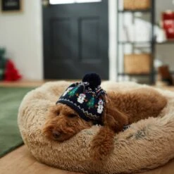 Frisco Jolly Snowman Dog & Cat Knitted Hat -Pet Cat Supplies Store 276303 PT8. AC SS1800 V1631300384