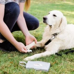 Ubbi® Ubbi On-The-Go Dog & Cat Wipes Dispenser 8 Ubbi® Ubbi On-The-Go Dog & Cat Wipes Dispenser -Pet Cat Supplies Store 279128 PT3. AC SS1800 V1615509403