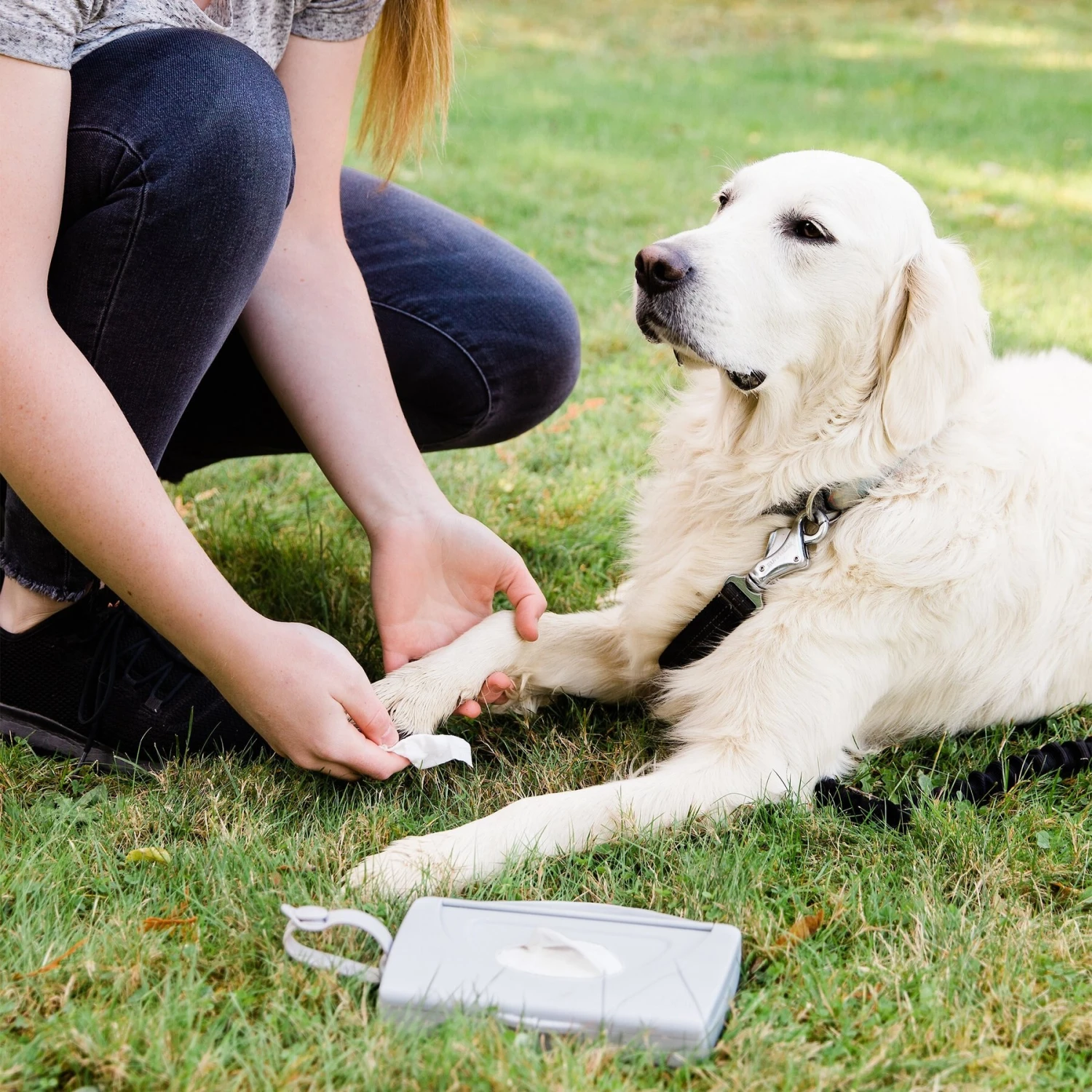 Ubbi® Ubbi On-The-Go Dog & Cat Wipes Dispenser 4 Ubbi® Ubbi On-The-Go Dog & Cat Wipes Dispenser - Image 4