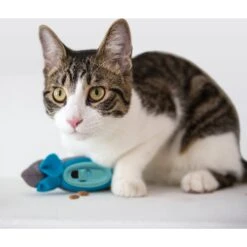 Doc & Phoebe's Cat Co. The Hunting Snacker Interactive Cat Treat Toy, Blue 12 Doc & Phoebe's Cat Co. The Hunting Snacker Interactive Cat Treat Toy, Blue -Pet Cat Supplies Store 279341 PT3. AC SS1800 V1617402789
