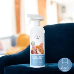 Messy Pet Cat Stain & Odor Remover, 27-oz Bottle -Pet Cat Supplies Store 279368 PT3. AC SS1800 V1683653654