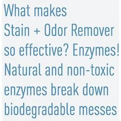 Messy Pet Cat Stain & Odor Remover, 27-oz Bottle -Pet Cat Supplies Store 279368 PT7. AC SS1800 V1618006920