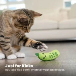 Catstages Crunchy Pickle Kicker Plush Cat Toy With Catnip -Pet Cat Supplies Store 282267 PT5. AC SS1800 V1682521227