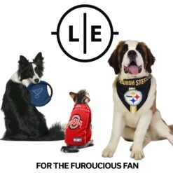 Littlearth NFL Personalized Stretch Dog & Cat Jersey 13 Littlearth NFL Personalized Stretch Dog & Cat Jersey -Pet Cat Supplies Store 283735 PT6. AC SS1800 V1619404029