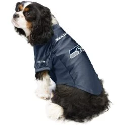 Littlearth NFL Stretch Dog & Cat Jersey, Seattle Seahawks 9 Littlearth NFL Stretch Dog & Cat Jersey, Seattle Seahawks -Pet Cat Supplies Store 284222 PT2. AC SS1800 V1619563031