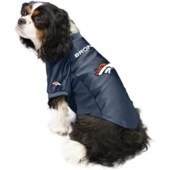 Littlearth NFL Stretch Dog & Cat Jersey, Denver Broncos -Pet Cat Supplies Store 284243 PT2. AC SS1800 V1619575993