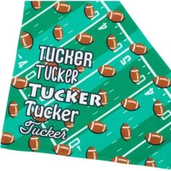 Frisco Football Personalized Dog & Cat Bandana 13 Frisco Football Personalized Dog & Cat Bandana -Pet Cat Supplies Store 287044 PT4. AC SS1800 V1623246178