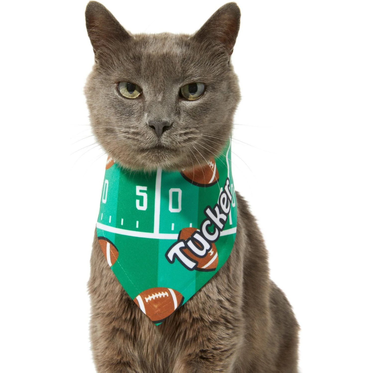 Frisco Football Personalized Dog & Cat Bandana 8 Frisco Football Personalized Dog & Cat Bandana - Image 8