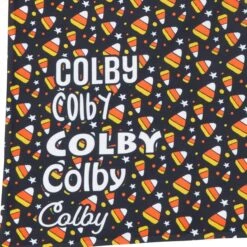 Frisco Candy Corn Personalized Dog & Cat Bandana -Pet Cat Supplies Store 287056 PT4. AC SS1800 V1623849048