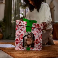 Frisco Holiday Gift Box Cardboard Cat House -Pet Cat Supplies Store 287291 PT3. AC SS1800 V1695043502
