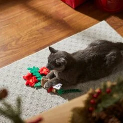 Frisco Flower Bouquet Plush Cat Toy With Catnip -Pet Cat Supplies Store 287395 PT3. AC SS1800 V1632774747