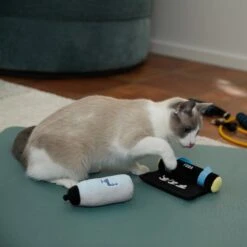 Frisco Yoga Mat & Water Bottle Plush Cat Toy With Catnip, 2 Count -Pet Cat Supplies Store 288955 PT3. AC SS1800 V1638289648