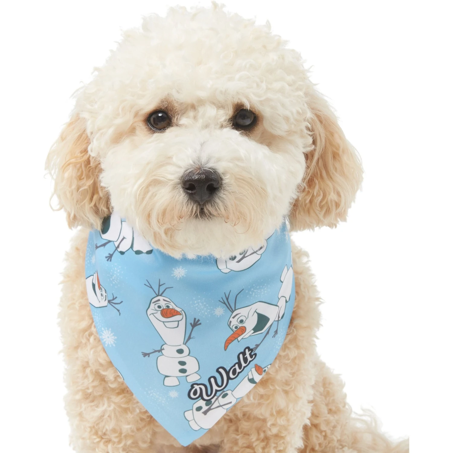Disney Frozen's Olaf & Snow Personalized Dog & Cat Bandana 7 Disney Frozen's Olaf & Snow Personalized Dog & Cat Bandana - Image 7