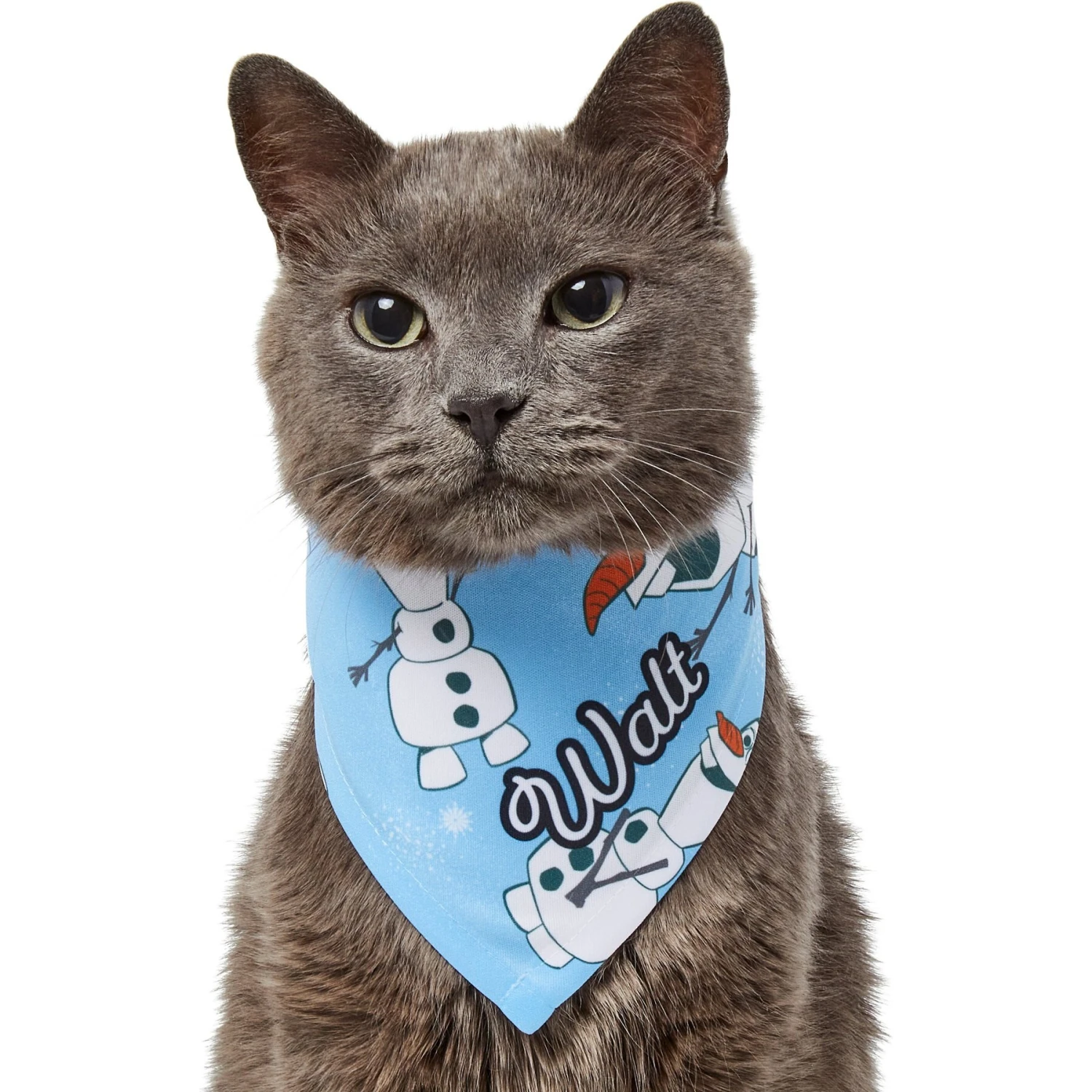 Disney Frozen's Olaf & Snow Personalized Dog & Cat Bandana 8 Disney Frozen's Olaf & Snow Personalized Dog & Cat Bandana - Image 8