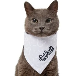 Disney Mickey Mouse Streetwear Personalized Dog & Cat Bandana -Pet Cat Supplies Store 290174 PT7. AC SS1800 V1625154485