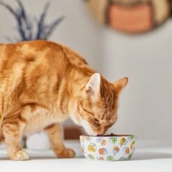 Disney Princesses Non-Skid Ceramic Cat Bowl 7 Disney Princesses Non-Skid Ceramic Cat Bowl -Pet Cat Supplies Store 291395 PT3. AC SS1800 V1633979293