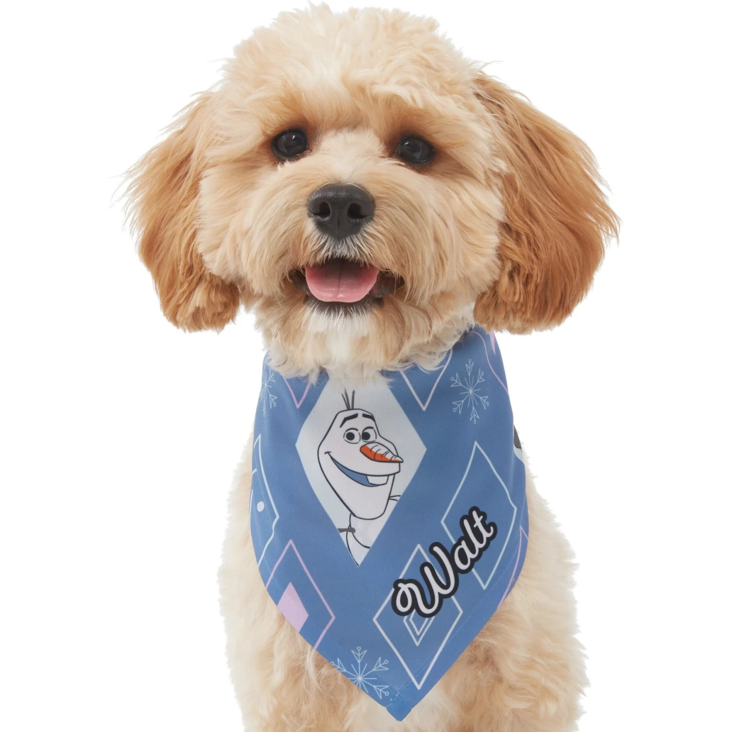 Disney Frozen's Olaf Diamond Pattern Personalized Dog & Cat Bandana 7 Disney Frozen's Olaf Diamond Pattern Personalized Dog & Cat Bandana - Image 7