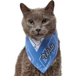 Disney Frozen's Olaf Diamond Pattern Personalized Dog & Cat Bandana 15 Disney Frozen's Olaf Diamond Pattern Personalized Dog & Cat Bandana -Pet Cat Supplies Store 294289 PT7. AC SS1800 V1625153556