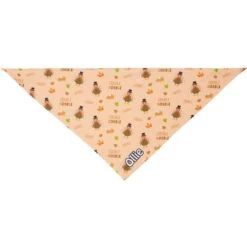 Frisco Quirky Thanksgiving Personalized Dog & Cat Bandana -Pet Cat Supplies Store 296986 PT3. AC SS1800 V1627654956