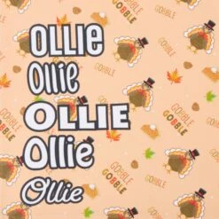 Frisco Quirky Thanksgiving Personalized Dog & Cat Bandana -Pet Cat Supplies Store 296986 PT4. AC SS1800 V1627655269