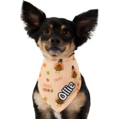 Frisco Quirky Thanksgiving Personalized Dog & Cat Bandana -Pet Cat Supplies Store 296986 PT6. AC SS1800 V1627654020