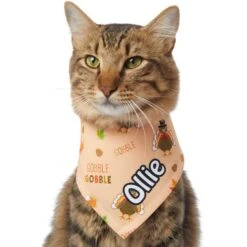 Frisco Quirky Thanksgiving Personalized Dog & Cat Bandana -Pet Cat Supplies Store 296986 PT7. AC SS1800 V1627654903