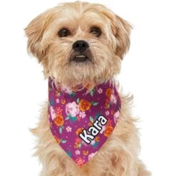 Frisco Fall Floral Personalized Dog & Cat Bandana -Pet Cat Supplies Store 296990 PT6. AC SS1800 V1627654305