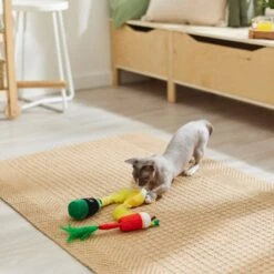 Frisco Brunch Bottomless Mimosas Plush Cat Toy With Catnip, 3 Count -Pet Cat Supplies Store 297288 PT2. AC SS1800 V1642088553