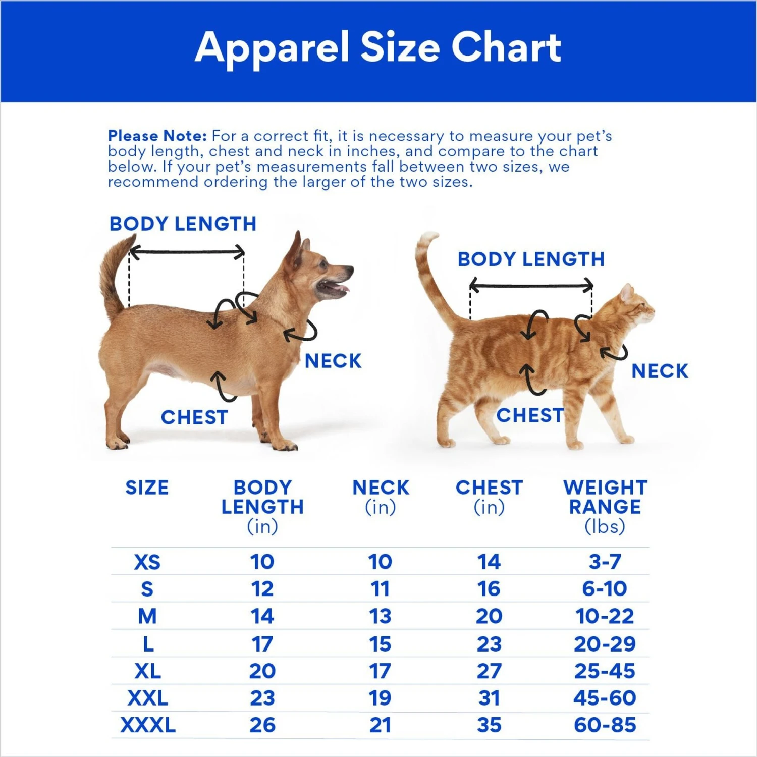 Disney Mickey & Minnie "Hip Hop Hooray" Dog & Cat T-Shirt 2 Disney Mickey & Minnie "Hip Hop Hooray" Dog & Cat T-Shirt - Image 2