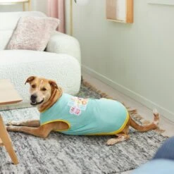Disney Mickey & Minnie "Hip Hop Hooray" Dog & Cat T-Shirt 11 Disney Mickey & Minnie "Hip Hop Hooray" Dog & Cat T-Shirt -Pet Cat Supplies Store 297548 PT5. AC SS1800 V1640712466