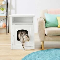 Frisco Decorative Side Table Cat Litter Box Cover & Frisco Open Top Cat Litter Box With Rim, Large -Pet Cat Supplies Store 297992 PT4. AC SS1800 V1621306337