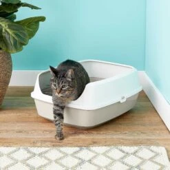 Frisco Decorative Side Table Cat Litter Box Cover & Frisco Open Top Cat Litter Box With Rim, Large -Pet Cat Supplies Store 297992 PT6. AC SS1800 V1621299762