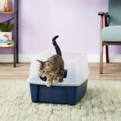 Frisco Plastic Litter Scooper With Caddy & IRIS USA Open Top Litter Box With Scatter Shield 13 Frisco Plastic Litter Scooper With Caddy & IRIS USA Open Top Litter Box With Scatter Shield -Pet Cat Supplies Store 298166 PT6. AC SS1800 V1623202669