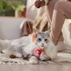 Disney Mickey & Minnie Mouse Donut Teaser Cat Toy With Catnip -Pet Cat Supplies Store 299005 PT3. AC SS1800 V1701364869