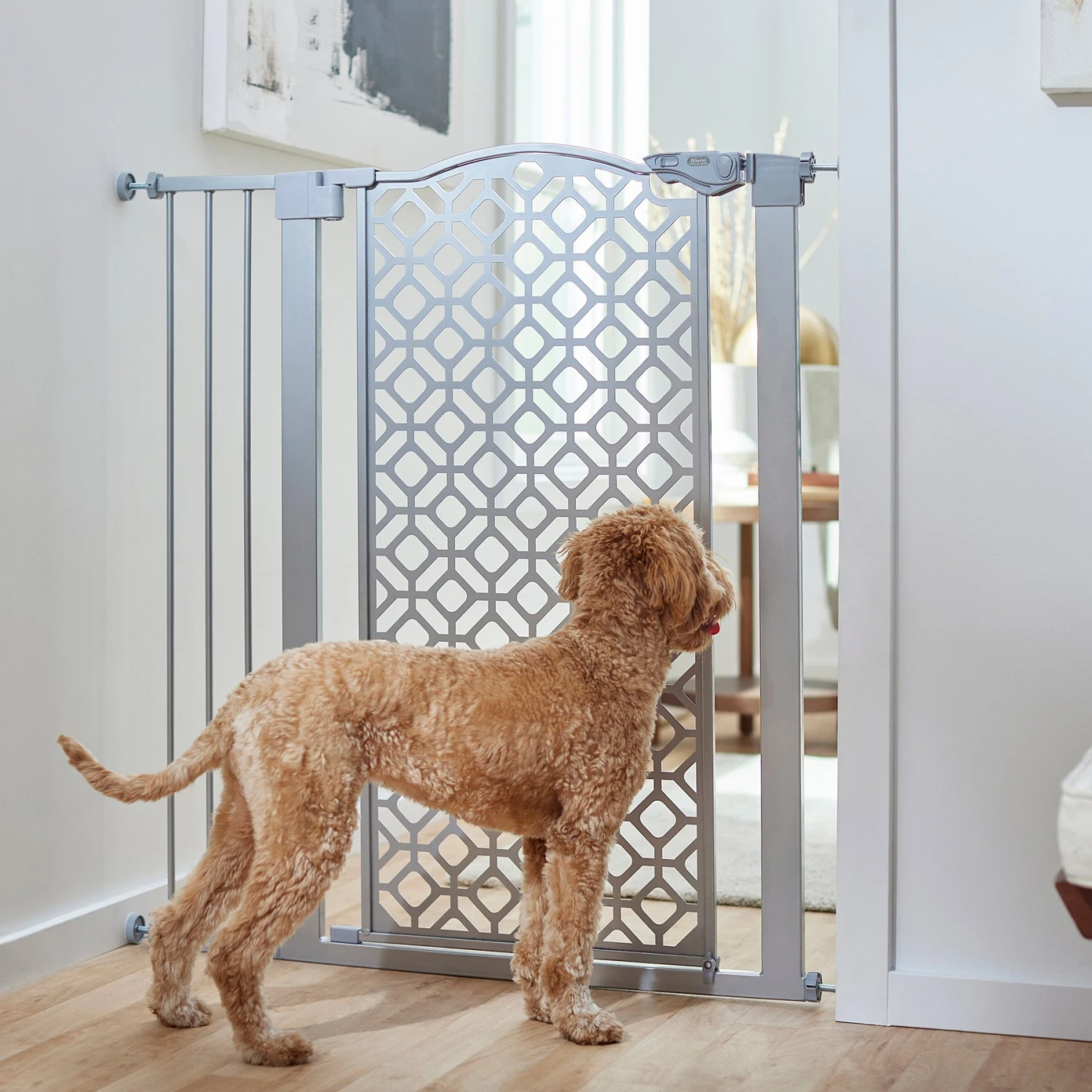 Frisco Metal Geometric Pattern Extra Tall Auto-close Dog Gate 1 Frisco Metal Geometric Pattern Extra Tall Auto-close Dog Gate