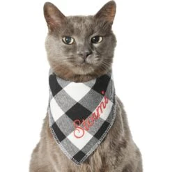 Frisco Buffalo Check Embroidered Personalized Dog & Cat Bandana -Pet Cat Supplies Store 301162 PT7. AC SS1800 V1628535983