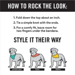 Frisco Gingerbread Cookie Personalized Dog & Cat Bandana -Pet Cat Supplies Store 301361 PT2. AC SS1800 V1623274646