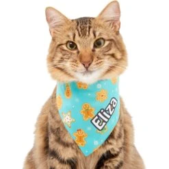 Frisco Gingerbread Cookie Personalized Dog & Cat Bandana -Pet Cat Supplies Store 301361 PT7. AC SS1800 V1628100087