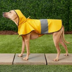 Frisco Lightweight Rainy Days Dog Raincoat & Frisco Lightweight Flamingo Dog Raincoat -Pet Cat Supplies Store 302828 PT4. AC SS1800 V1623042144