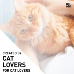 Cat Space Odor Gone Cat Spray, 17-oz Bottle -Pet Cat Supplies Store 307896 PT4. AC SS1800 V1624662479