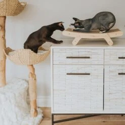 Mau Lifestyle Cardboard Cat Scratcher -Pet Cat Supplies Store 308909 PT3. AC SS1800 V1635198754